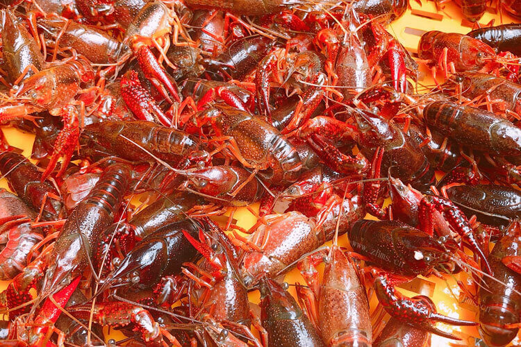最近迷上了小龙虾，湖北油焖小龙虾的由来是什么？