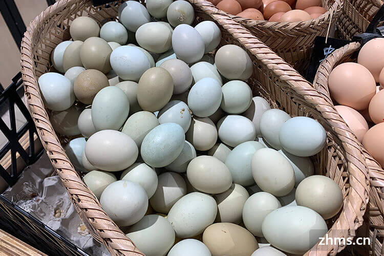 立夏吃蛋的意义是什么