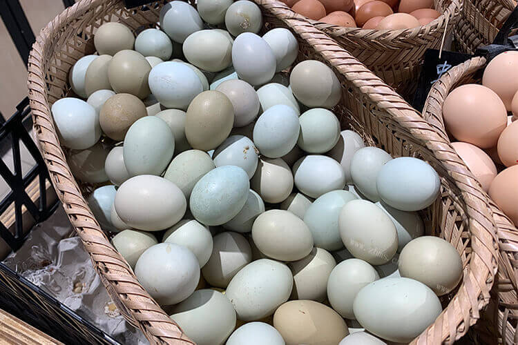 想吃鸡蛋皮蛋，问一下鸡蛋皮蛋一天最多吃几个？