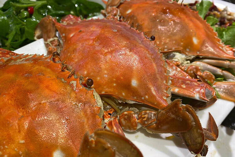 梭子蟹肉质鲜美却很咸，大梭子蟹肉为什么咸呢？