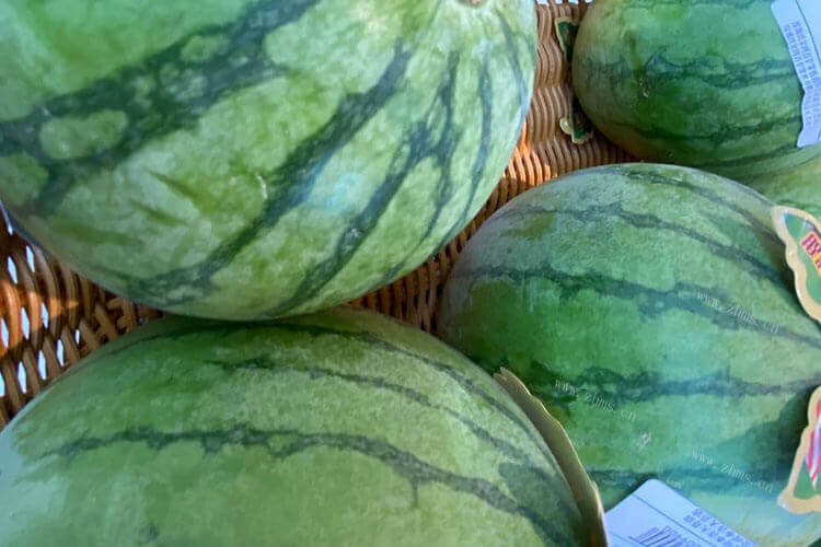 给朋友买西瓜，甘美西瓜多少钱一斤？