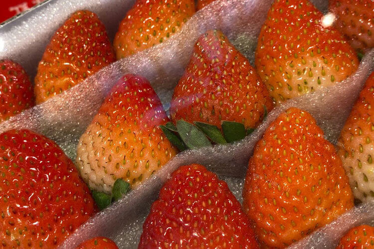 买了一些草莓，不知道草莓布丁怎么做简单又好吃？