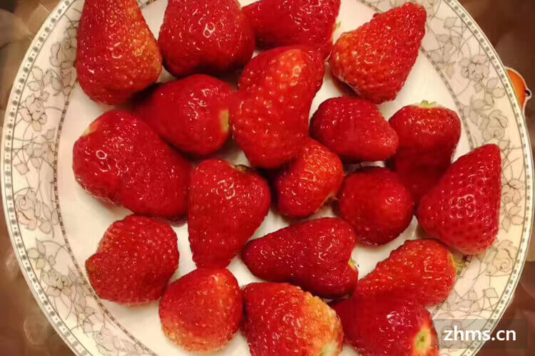 草莓什么季节成熟可以摘