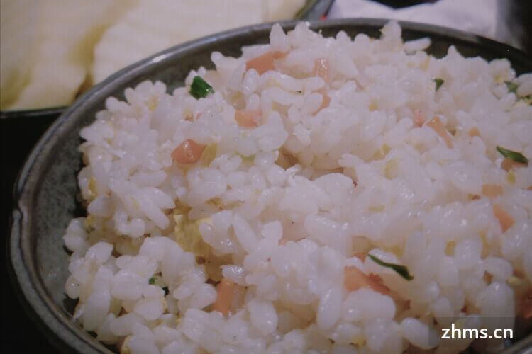 小怪兽炒饭加盟怎么样