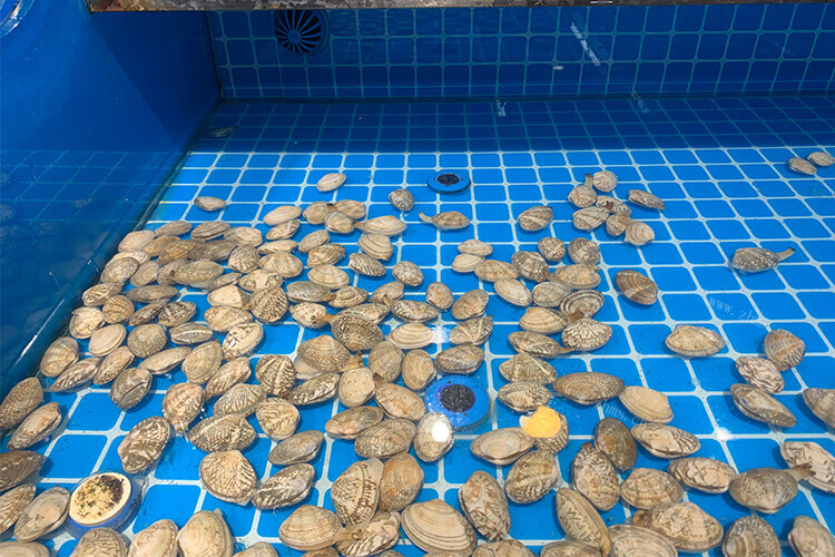 带了很多泥沙的蛤蜊，血蛤沙子怎么洗干净洗掉泥沙？