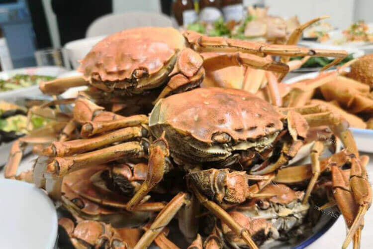 吃螃蟹的时候我想着，四月份能吃到阳澄湖大闸蟹吗？