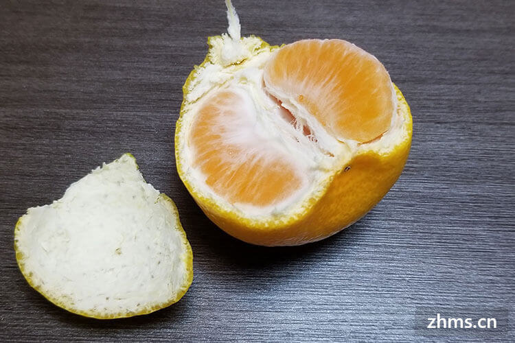 柑橘食用季节