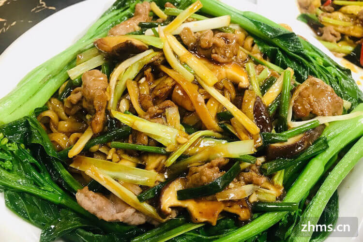 能不能说一下上海这里的素食食品加盟排行榜？有没有一些零食店？