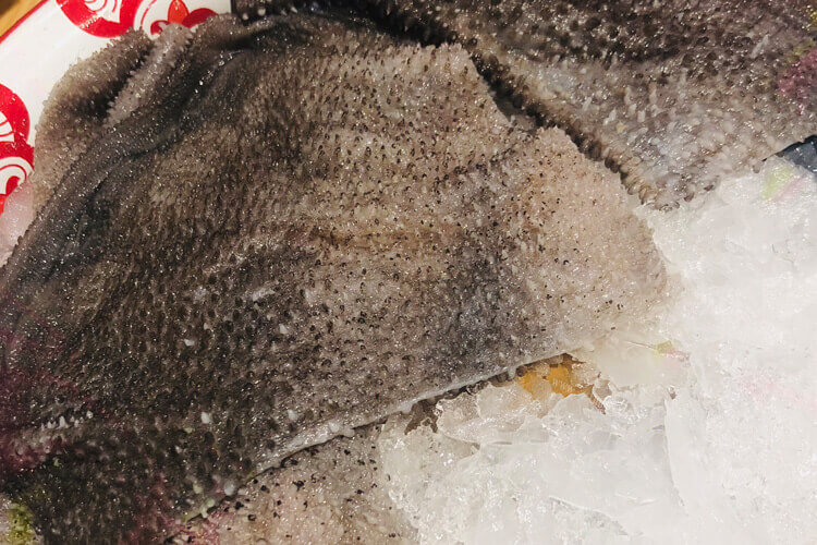 今天吃了羊肚和毛肚，毛肚和羊肚有什么区别？
