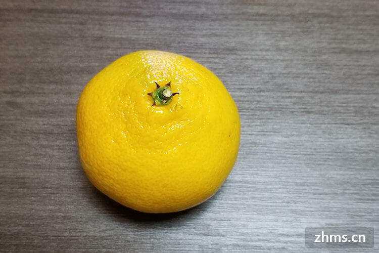 桔子与橘子有何区别