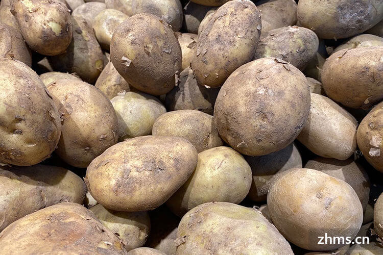 土豆怎么保存不变软