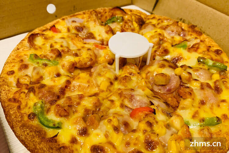 我朋友说想加盟塔西卡意式披萨不知道好不好，你们能探讨一下吗？