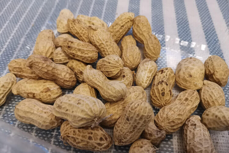 去买红皮花生，红皮花生产地哪里最好？