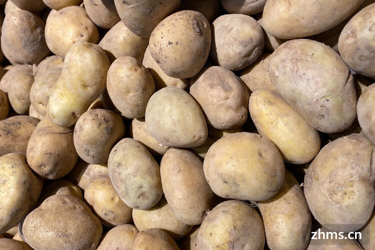 土豆保存时间是多少 土豆保存时间是多少