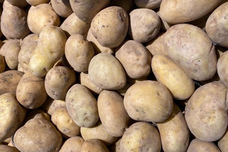 土豆蒸多久才能做土豆泥呢，一般是25分钟吗？