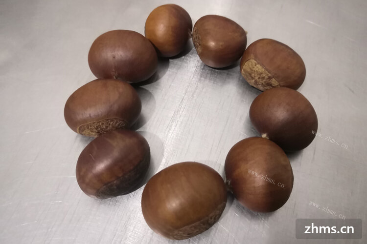 炒板栗加盟排行榜