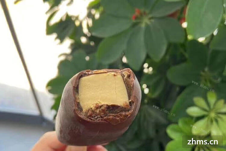雪花冰淇淋加盟费用贵吗？大概要准备多少资金？