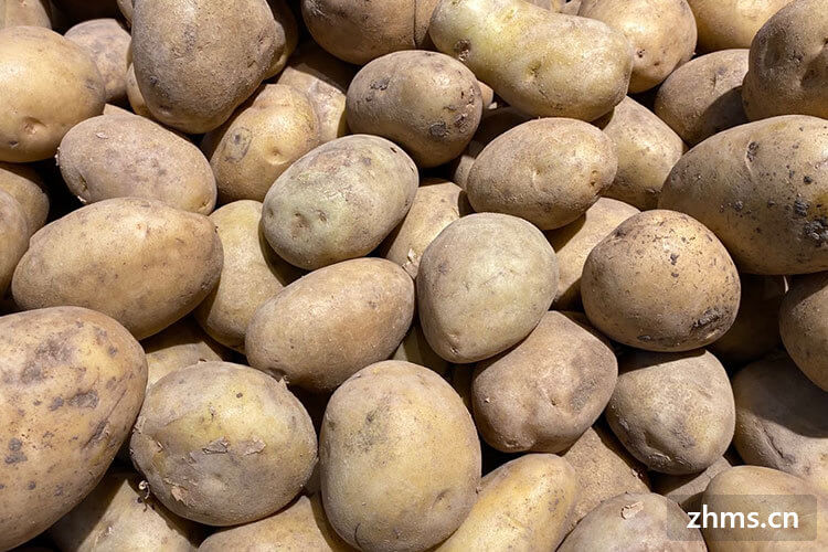 土豆种子切开后怎样保存多久