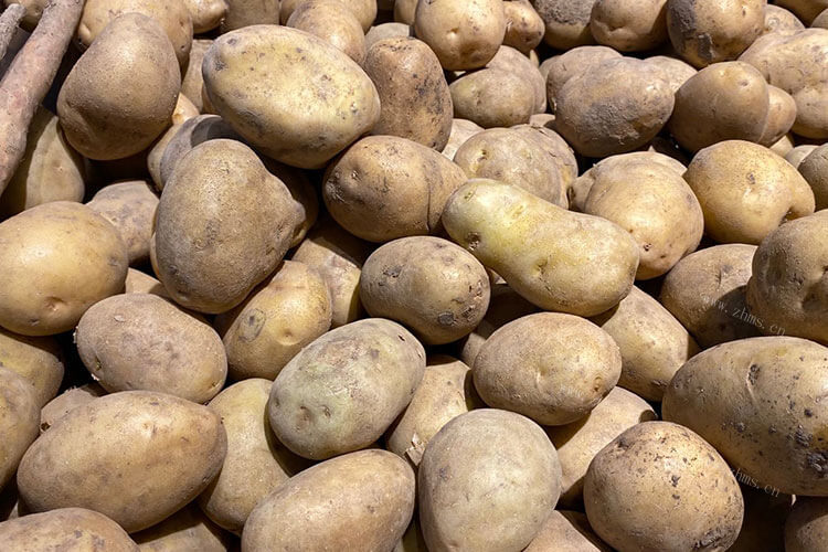 土豆是在冬天种植的，问一下生土豆能冷藏冷冻保存吗？