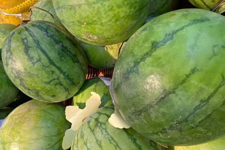 西瓜和哈密瓜不一样，西瓜与哈密瓜的区别是什么呢？
