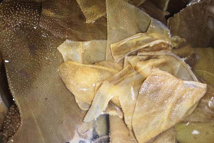 我想吃些毛肚，水发毛肚水碱比例多少？