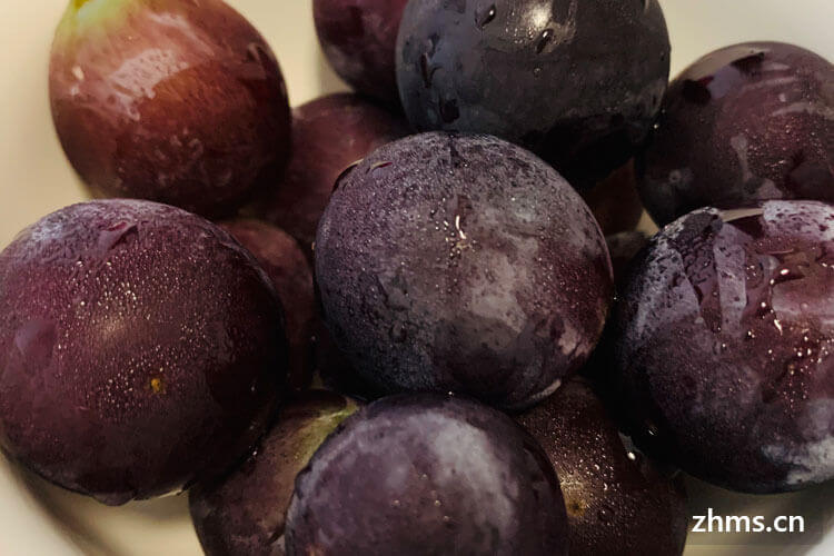 6月是吃葡萄的季节吗