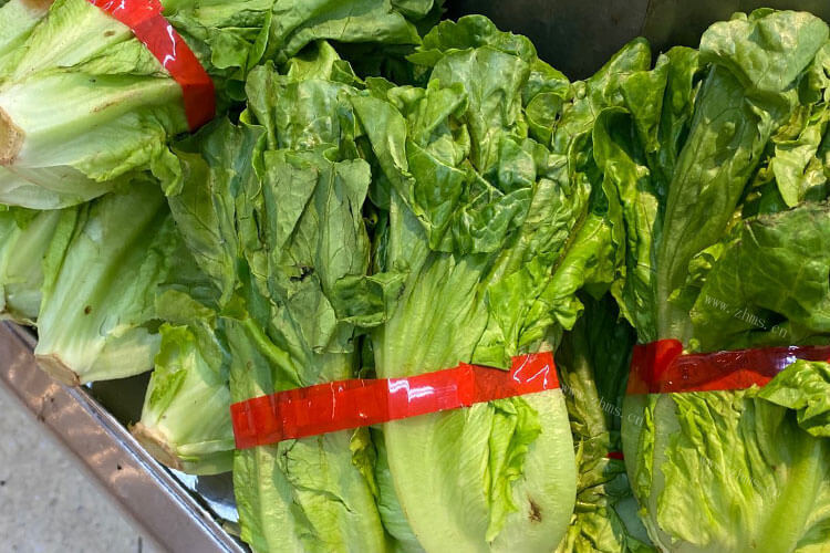 圆生菜罗马生菜有什么区别吗，哪个更好吃呢？