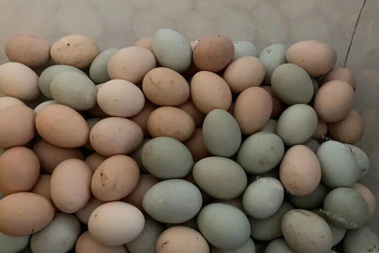 想吃一些皮蛋，鸡蛋皮蛋和鸭蛋皮蛋区别？