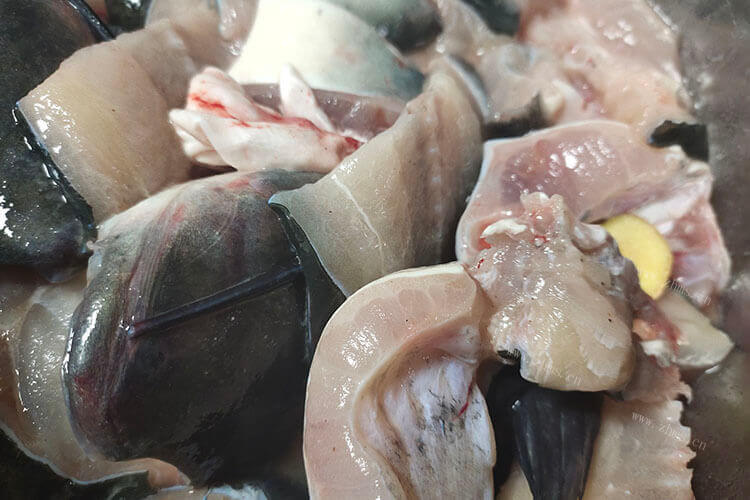 真的龙利鱼多少钱一斤巴沙鱼，它们有什么区别？