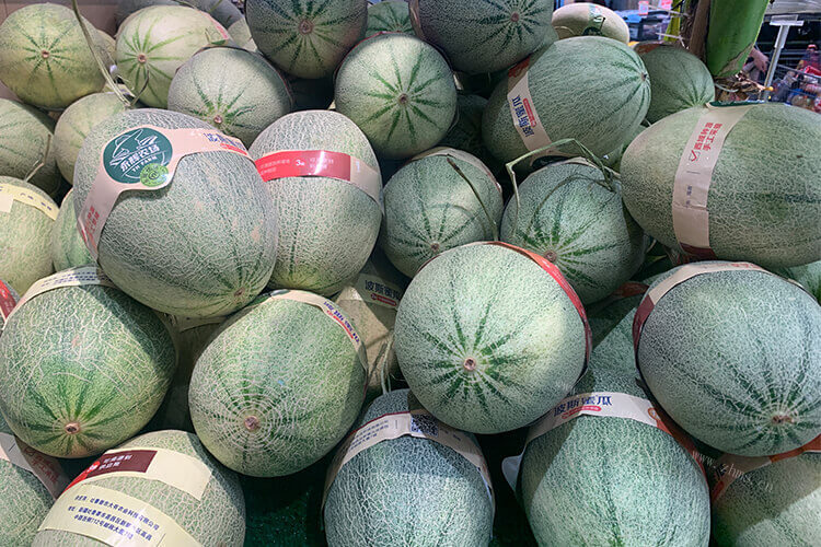 黄金蜜瓜和哈密瓜区别是什么？哪一个比较好吃？