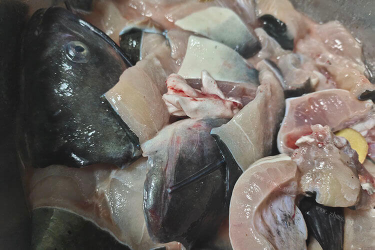 巴沙鱼跟龙利鱼哪个好吃？营养价值一样吗？