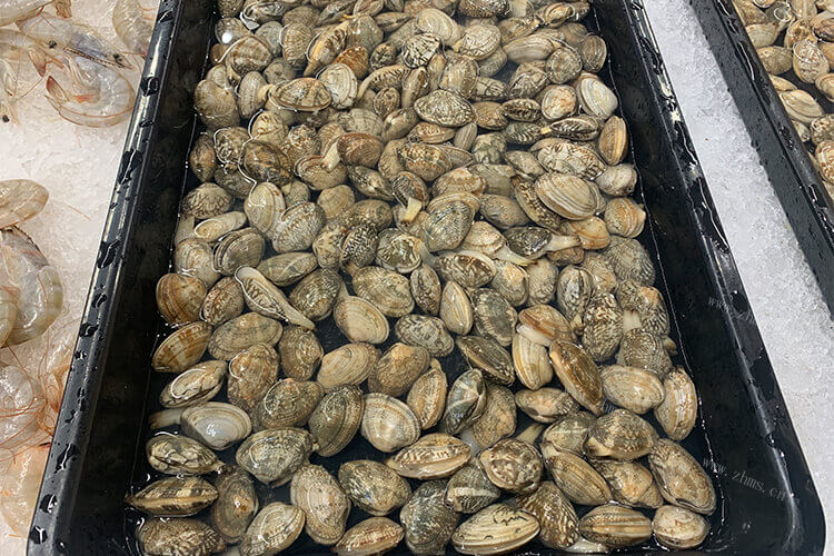没怎么吃过海鲜，扇贝蛤蜊花甲生蚝的区别有什么呢？