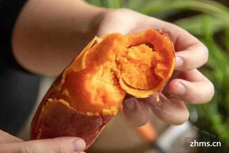 开苕皮豆干做活动重要吗？有没有加盟市场推荐呢？