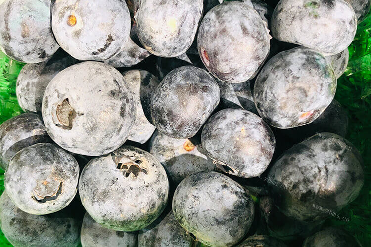 我想做蓝莓，蓝莓可以用盐水洗吗？