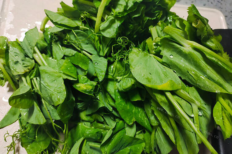 豌豆苗可以做菜，清炒豌豆苗的家常做法是什么呢？