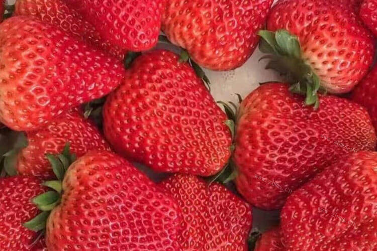 不太清楚草莓上市的季节，草莓什么季节吃最便宜？