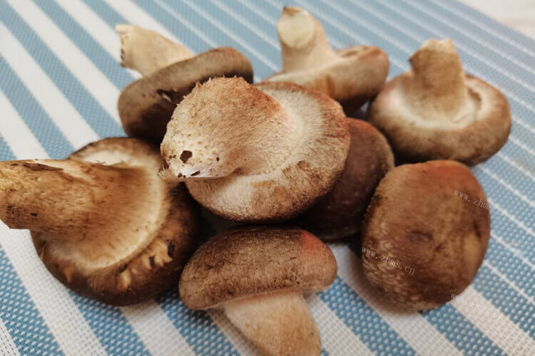 今天打算包包子，香菇和什么包饺子好吃？