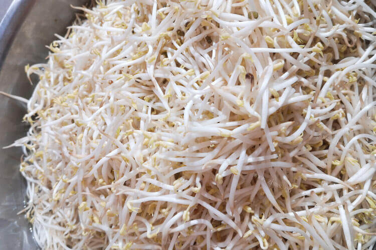 一斤豆子可以出多少豆芽呢？买了一斤黄豆，打算自己做豆芽