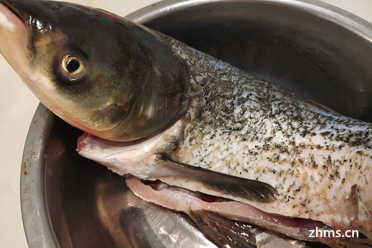 鱼肚子里的鱼油能吃吗