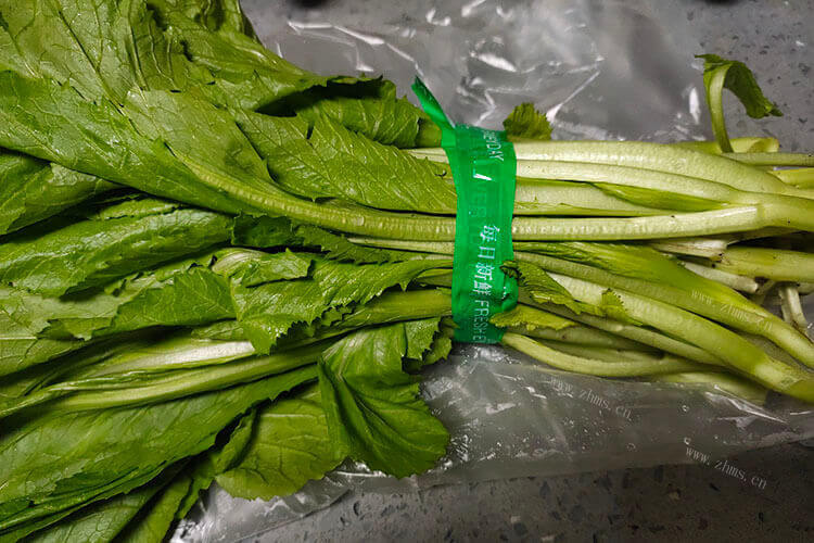 吃这个菜的包子，芥菜和芥菜根一样吗？