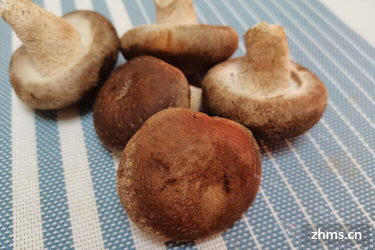 香菇丁炒多久能熟