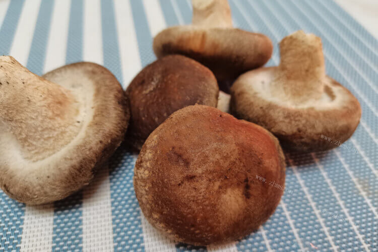 有香菇菜和上海青，香菇菜和上海青的区别是什么？