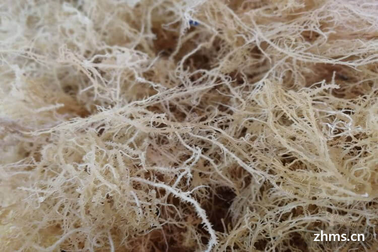 石花菜需要焯水后凉拌吗