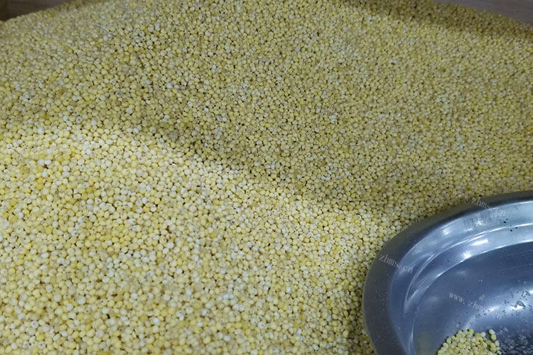 有个问题请教一下，请问哪里有小米蕉与芭蕉的区别图呢？