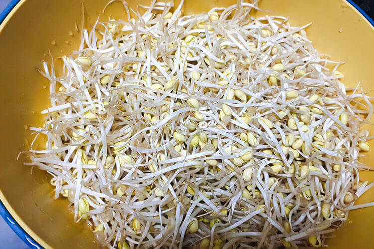 豆芽秋葵可以一起吃吗，二者是属于相克食物吗？