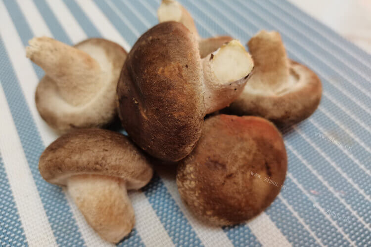 家里面没有香菇了，香菇可以用什么代替呢？