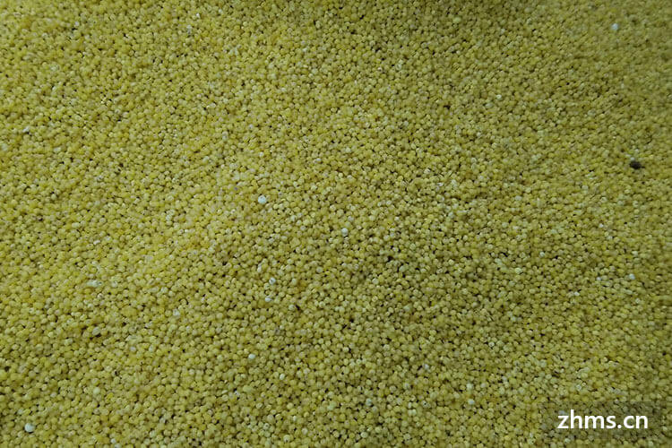 大黄米和小黄米的区别