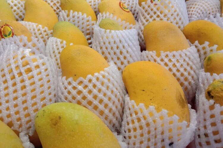 买了很多新鲜的芒果，已经熟了的芒果可以放冰箱吗？
