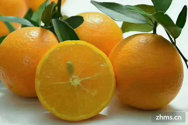 柑橘是不是橘子