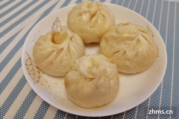 开一家包子店成本大概要多少